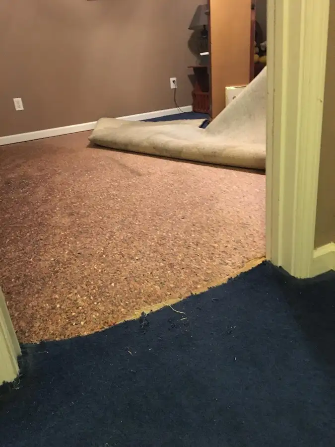 Carpet pad removal revealing water damage during Drying & Dehumidification in Claverack