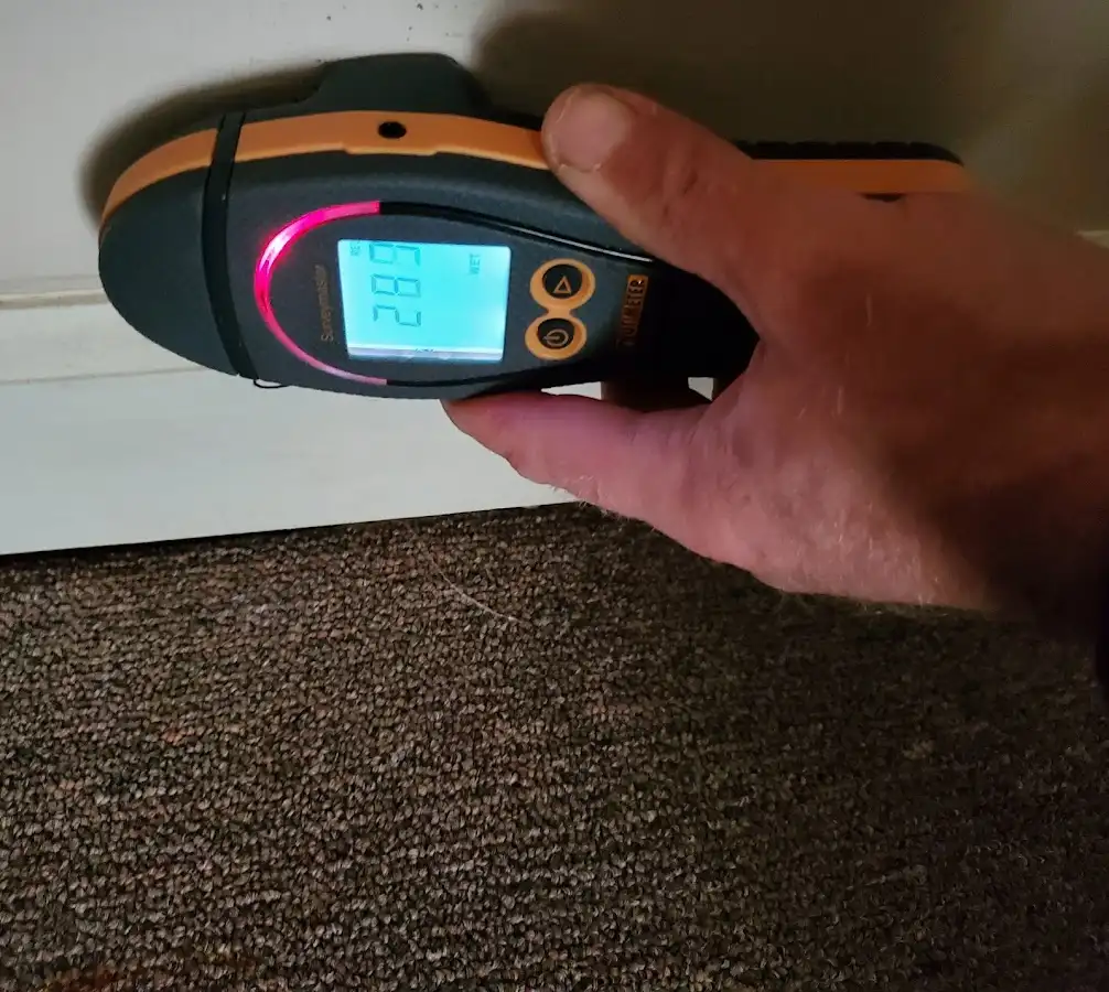 Moisture detection at baseboard during Sewage Cleanup & Sanitation in Claverack